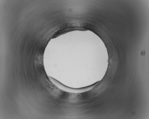 X0000111180096200908121122