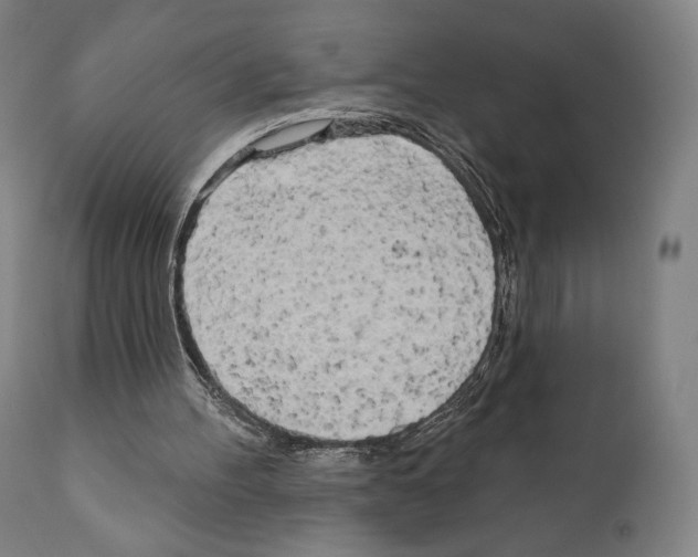 X0000111180100200908121121