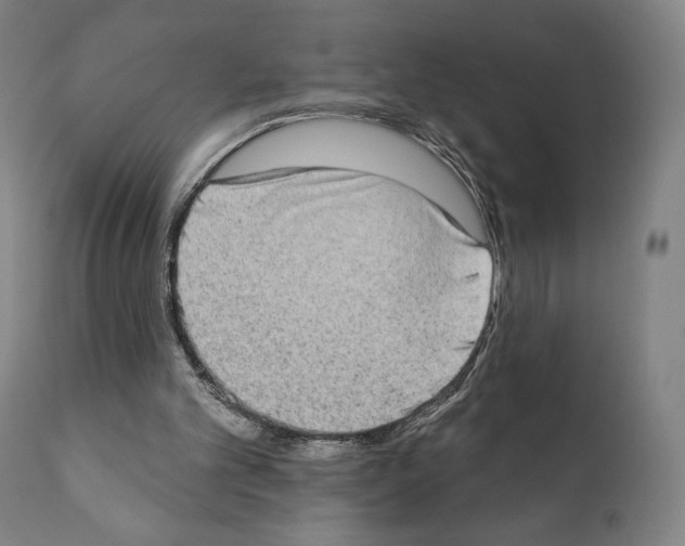 X0000111180101200908121121