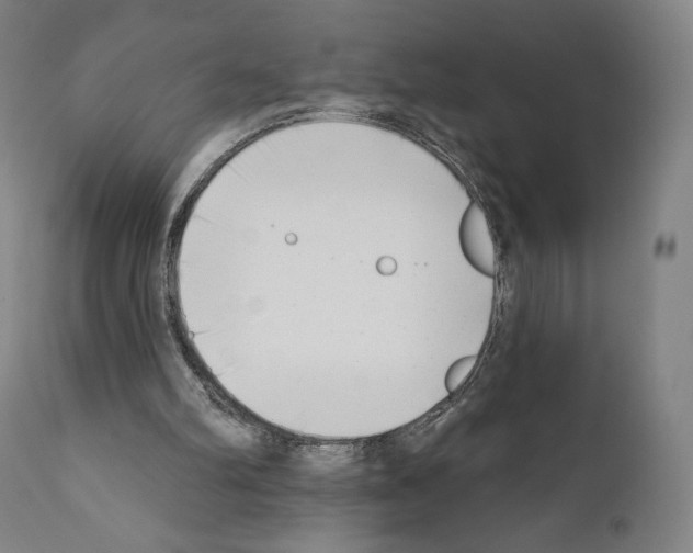 X0000111180102200908121121