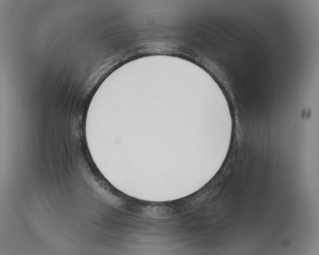 X0000111180105200908121121