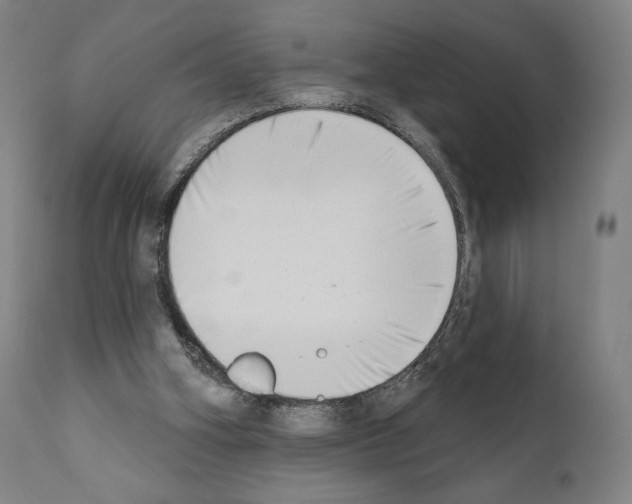 X0000111180106200908121121