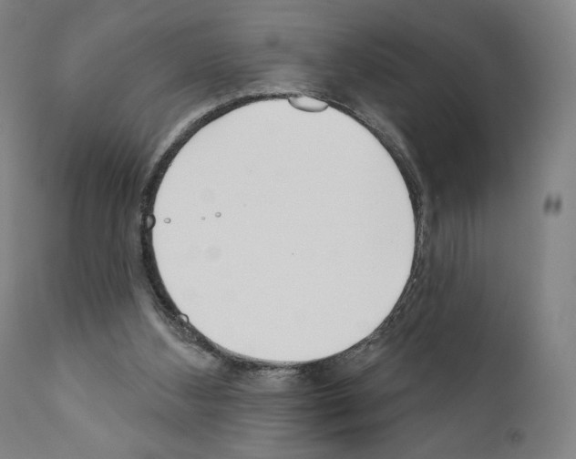 X0000111180108200908121121