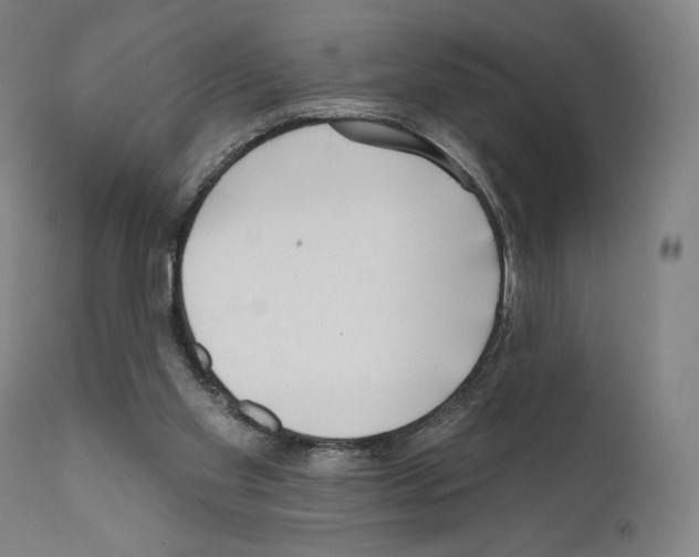 X0000111180109200908121121