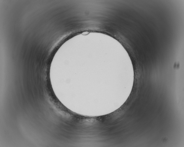 X0000111180112200908121121