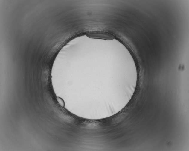 X0000111180113200908121121