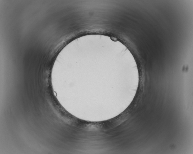 X0000111180115200908121121