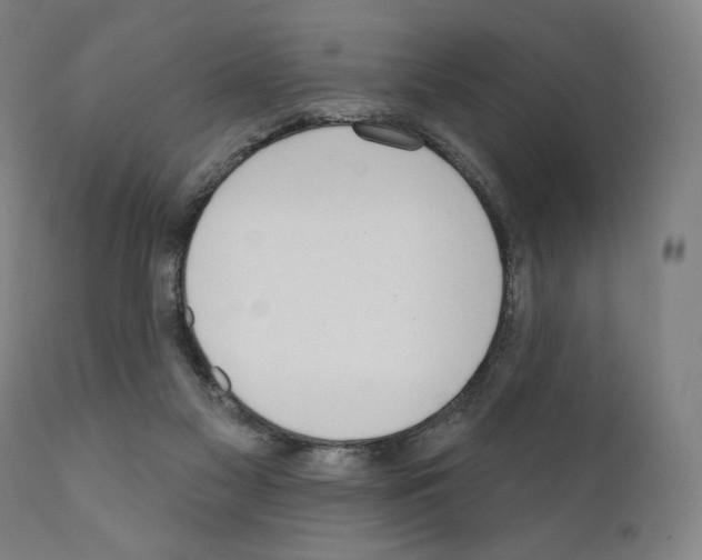 X0000111180117200908121121