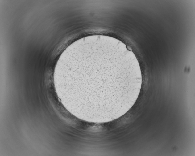 X0000111180119200908121121