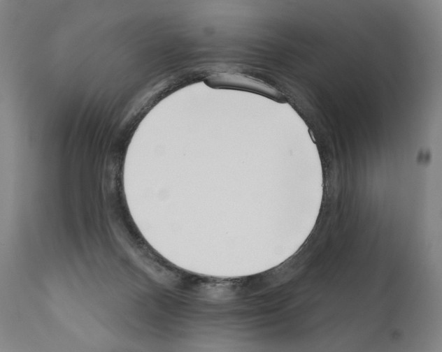 X0000111180120200908121121