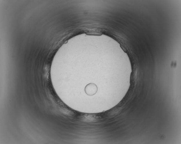 X0000111180121200908121121