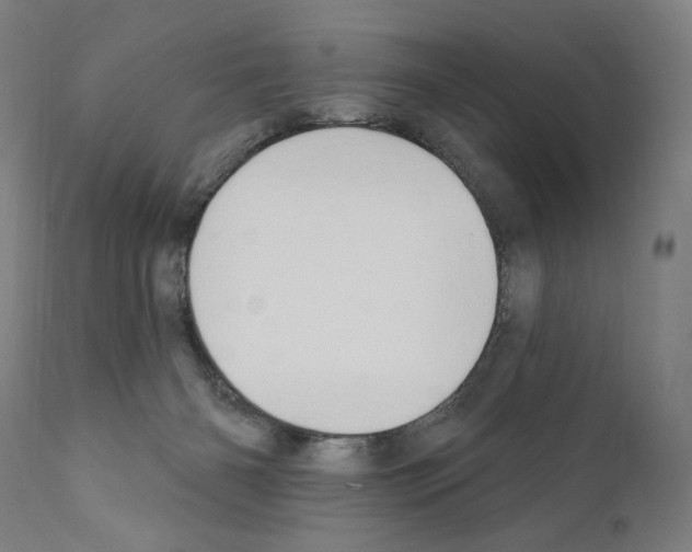 X0000111180126200908121121