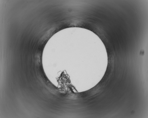 X0000111180127200908121121