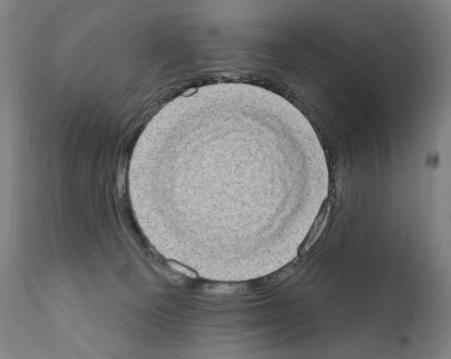 X0000111180129200908121121