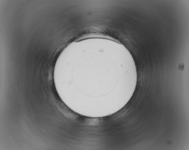 X0000111180131200908121121