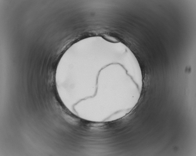 X0000111180132200908121121