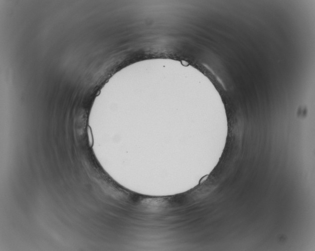 X0000111180133200908121121