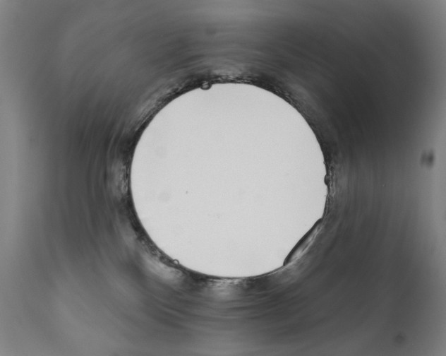 X0000111180136200908121121