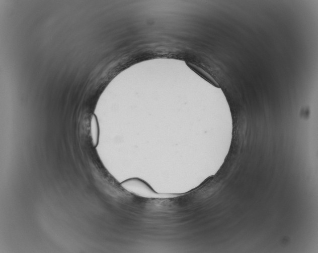 X0000111180137200908121120