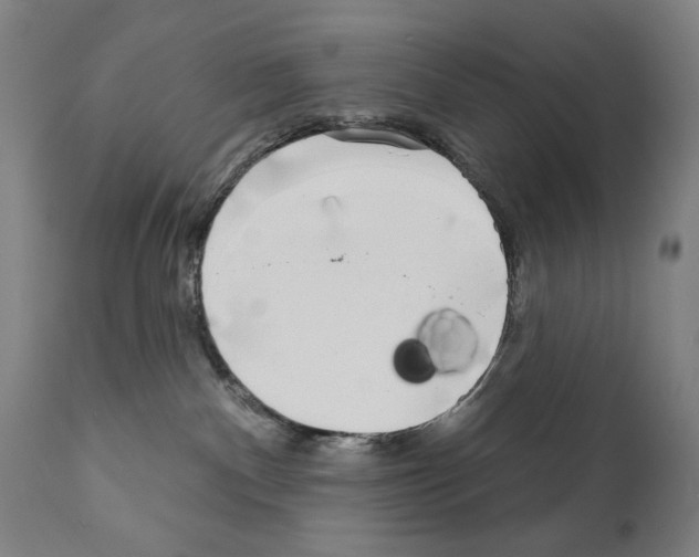 X0000111180140200908121120