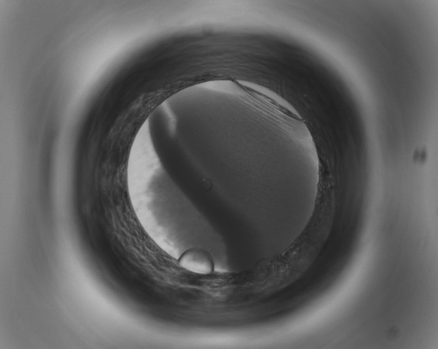 X0000111180143200908121120