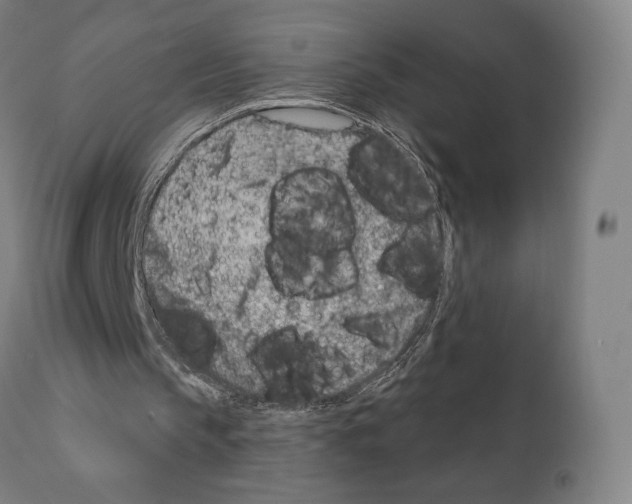 X0000111180145200908121120