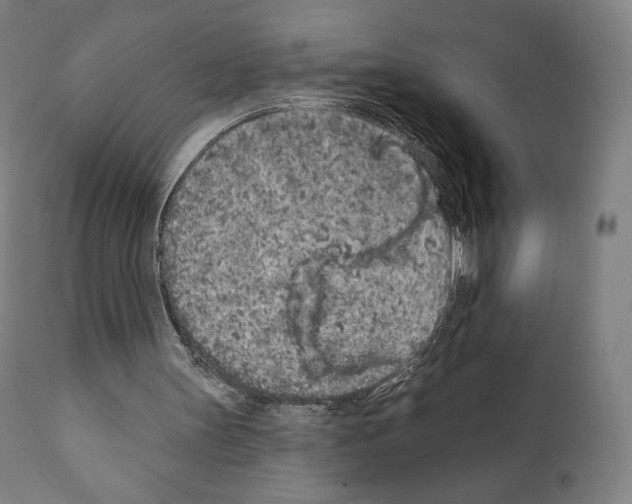 X0000111180147200908121120