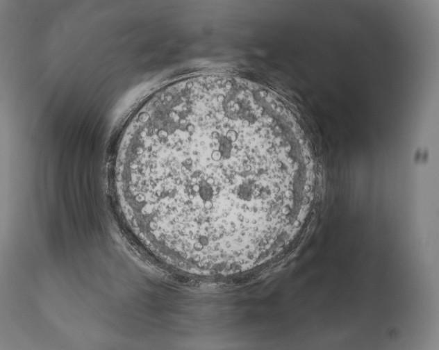 X0000111180149200908121120