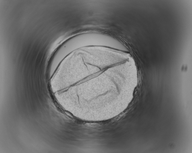 X0000111180150200908121120