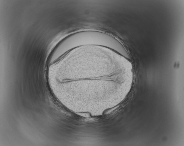 X0000111180152200908121120