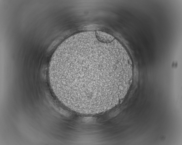 X0000111180153200908121120