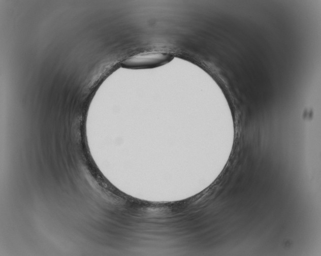 X0000111180154200908121120