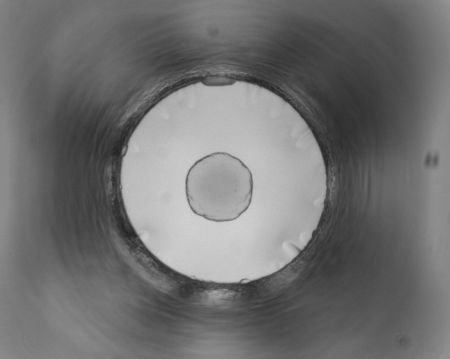 X0000111180158200908121120