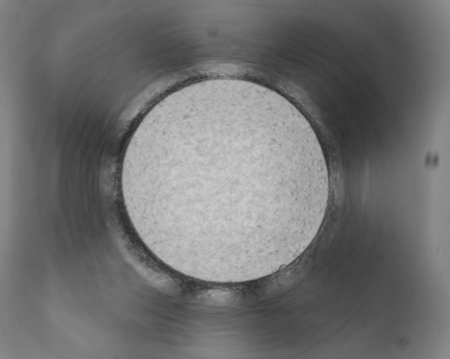 X0000111180159200908121120