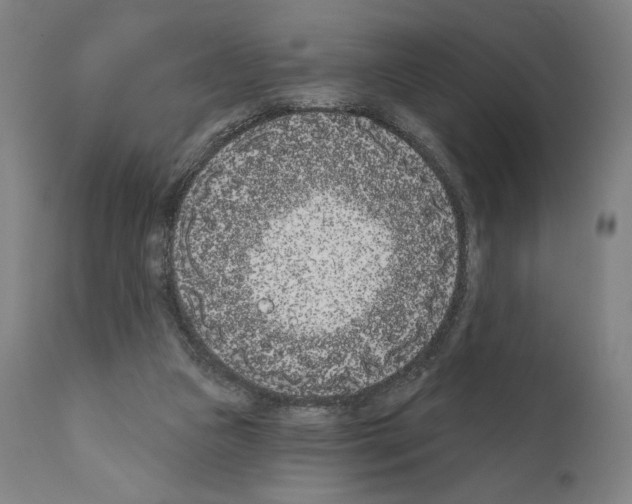 X0000111180161200908121120