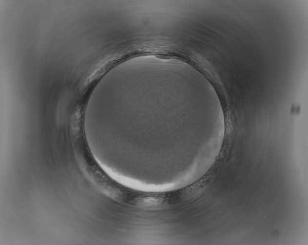 X0000111180163200908121120