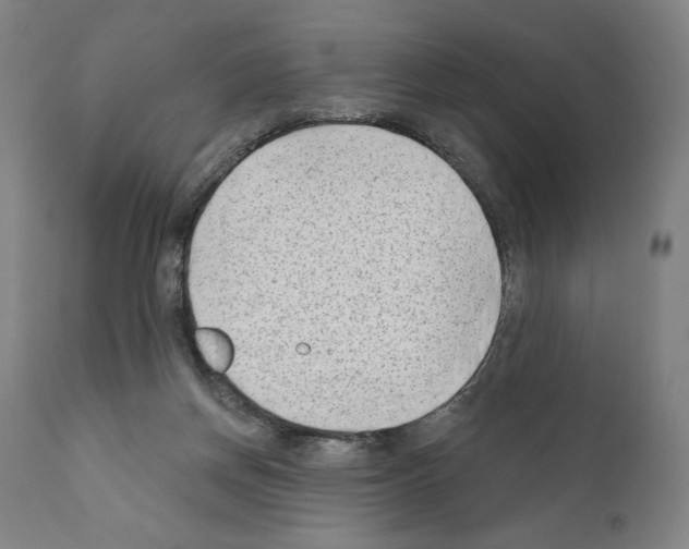 X0000111180166200908121120