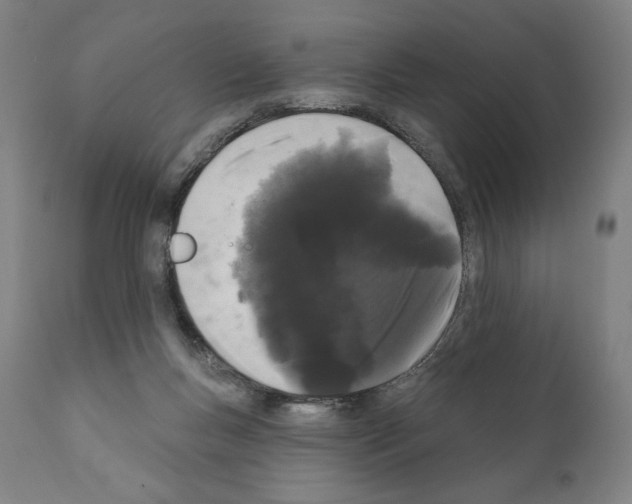 X0000111180167200908121120