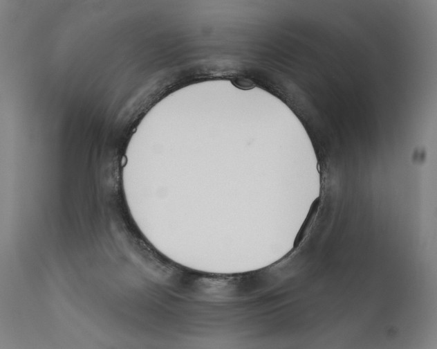 X0000111180170200908121120