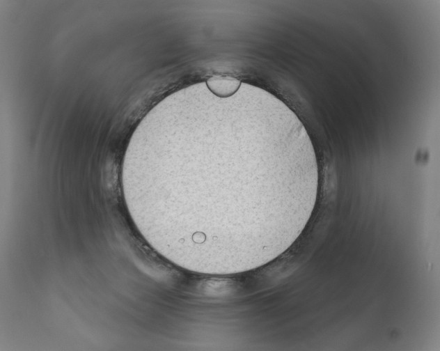 X0000111180173200908121120