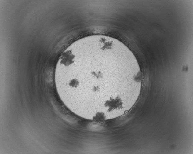 X0000111180175200908121120