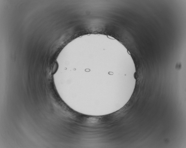 X0000111180176200908121120