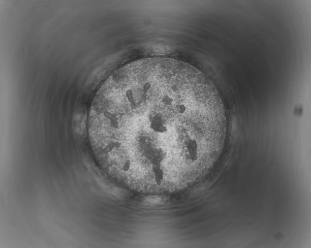 X0000111180177200908121120