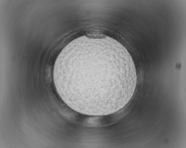 X0000111180178200908121120