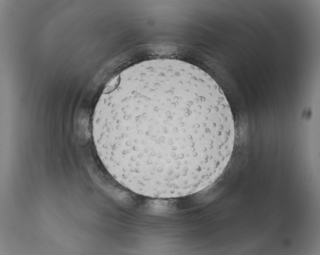 X0000111180187200908121120