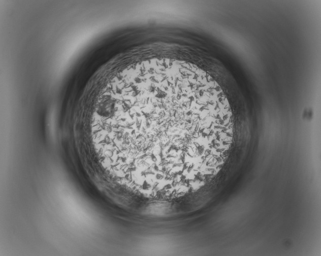 X0000111180189200908121120