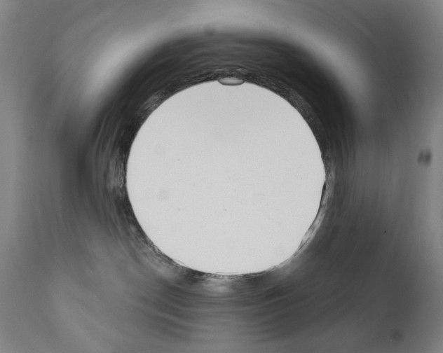 X0000111180190200908121120