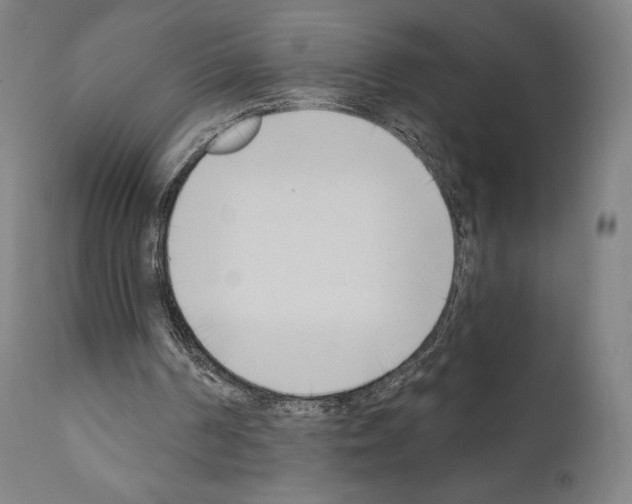 X0000111180194200908121120