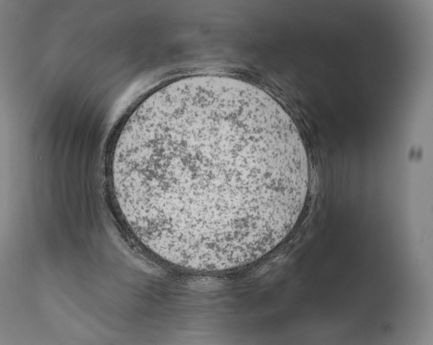 X0000111180198200908121119