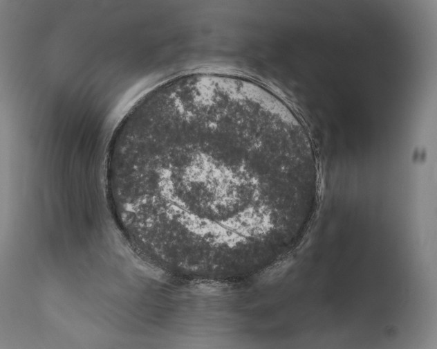 X0000111180199200908121119